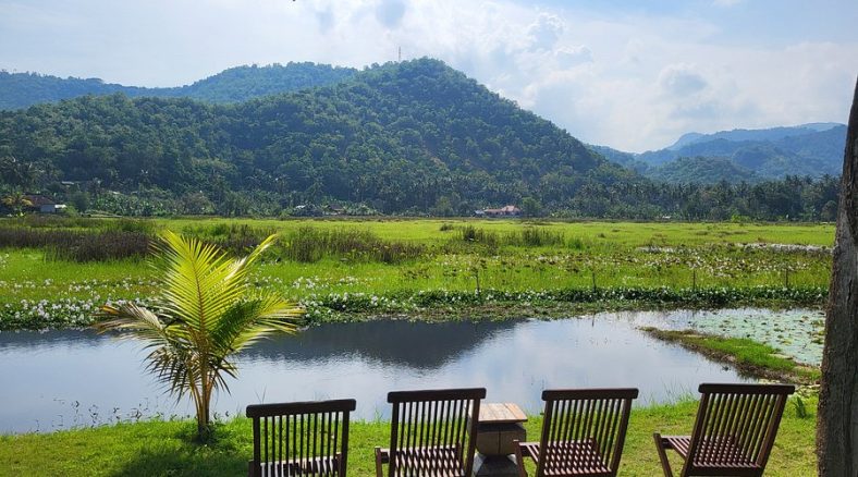 Hotel View Perbukitan: Suasana Tenang Membantu Detoks Pikiran