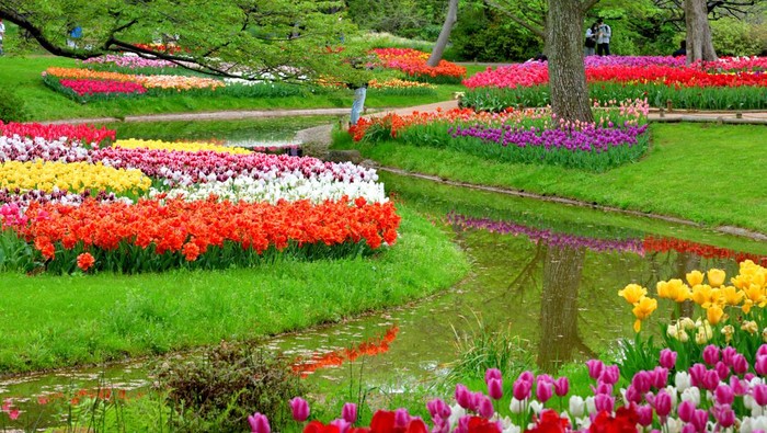 Hotel dengan View Kebun Bunga: Suasana Warna-Warni